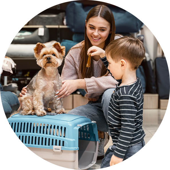 Ngành Bệnh Viện, Phòng Khám Thú Y & Pet Shop