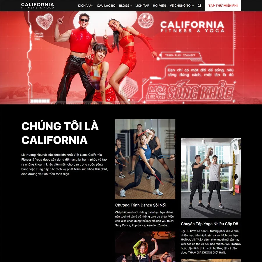 Website Công Ty