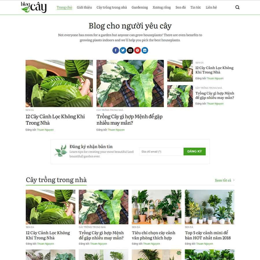 Website Tin Tức